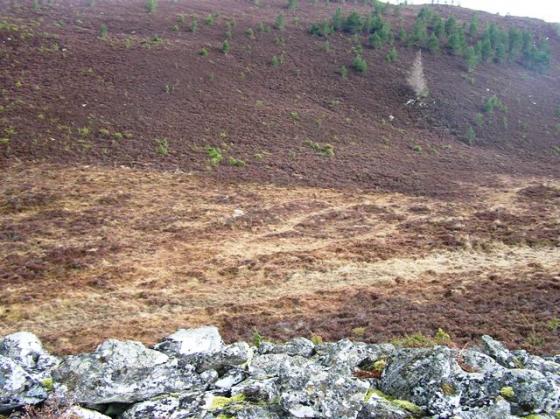 Creag Phitiulais (Stone Fort / Dun)