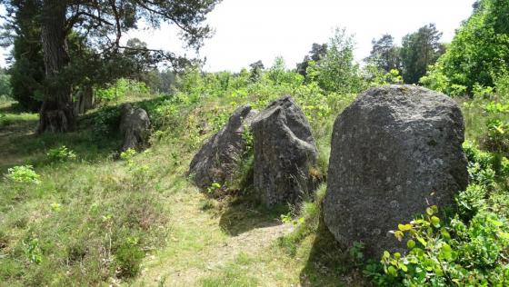 Oldendorf 3 (Long Barrow)