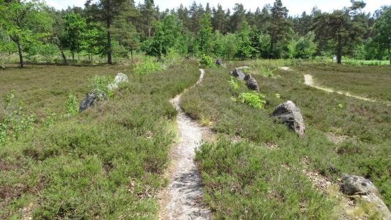 Oldendorf 4 (Long Barrow)