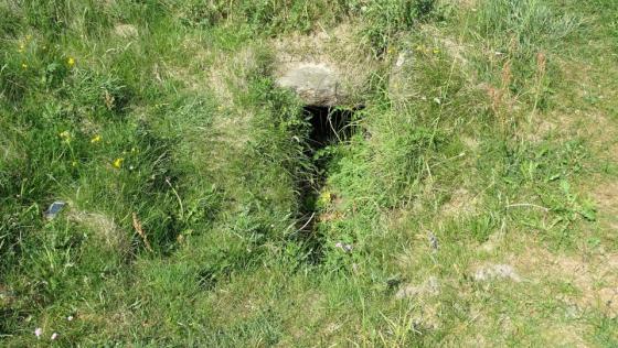 Utersum 1 (Dolmen / Quoit / Cromlech)