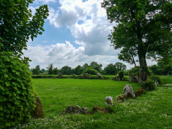 Grange / Lios, Lough Gur (Stone Circle)