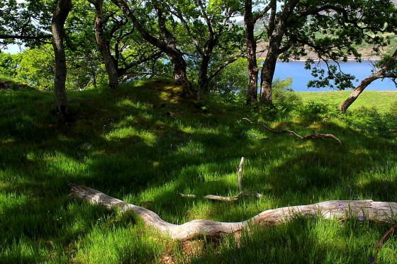 Dun Lagaidh (Broch)