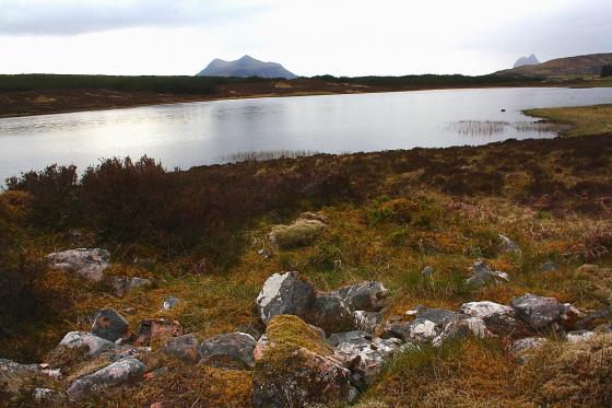Altnacealgach (Chambered Cairn)