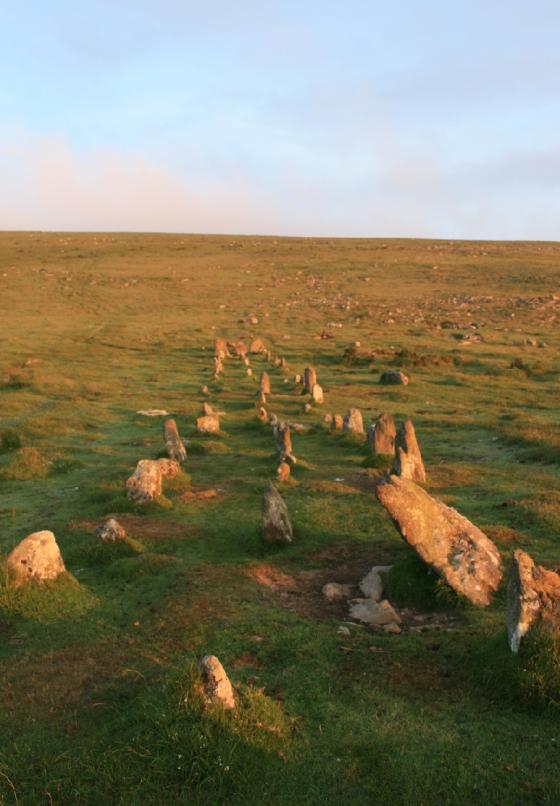 Cosdon Hill (Stone Row / Alignment)
