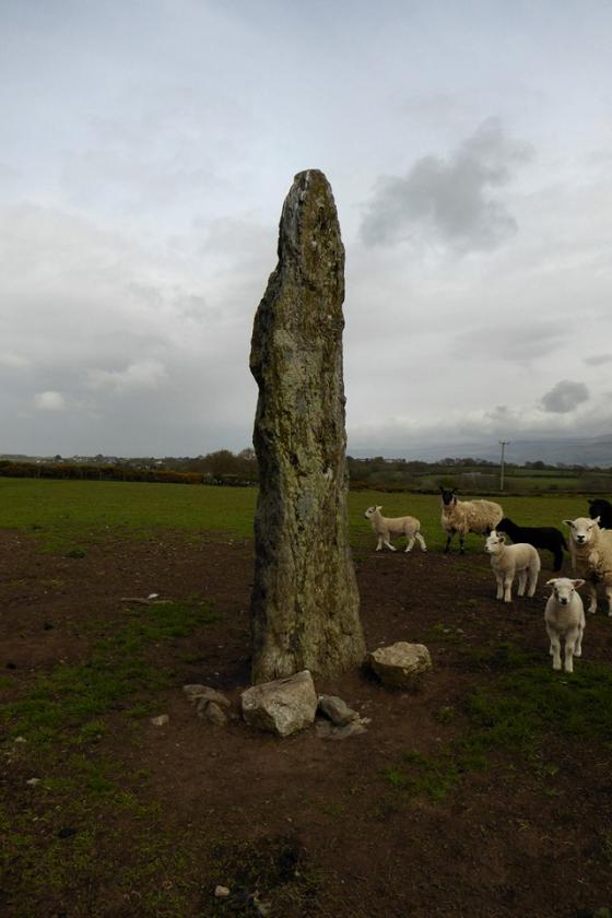 Plas Cadnant (Standing Stone / Menhir)