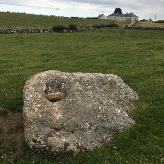 Carrownaser North (Bullaun Stone)
