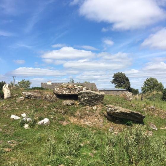 Altore (Wedge Tomb)