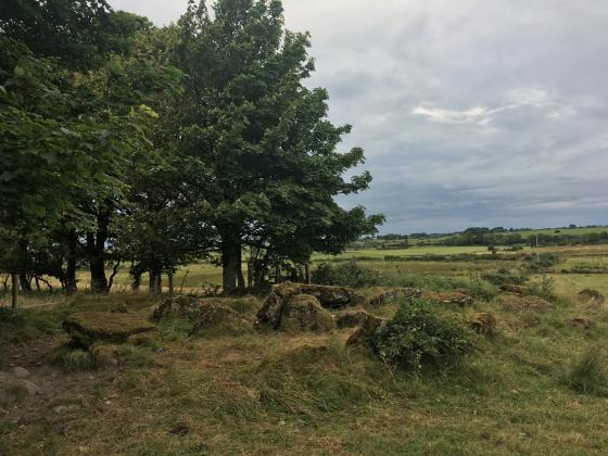 Lisduff (Wedge Tomb)