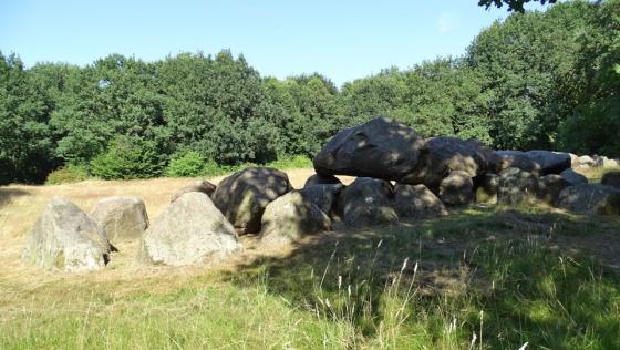 D19 Drouwen (Hunebed)