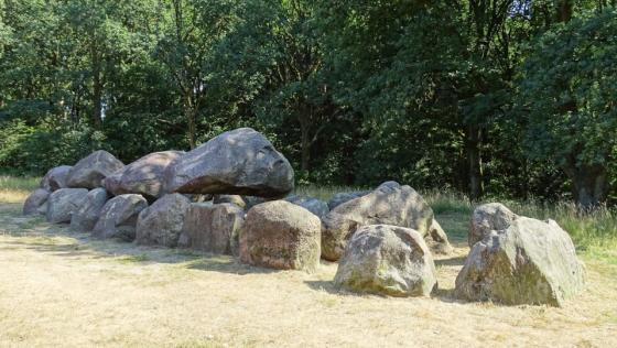 D19 Drouwen (Hunebed)