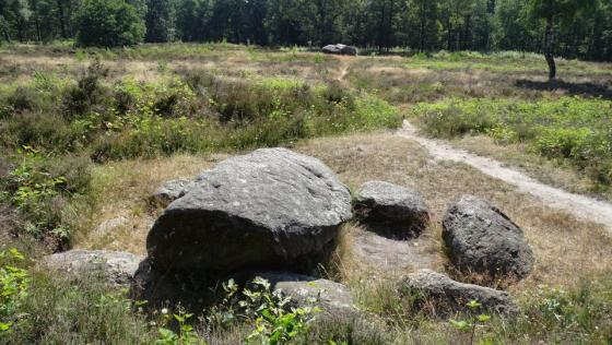 D39 (Hunebed)