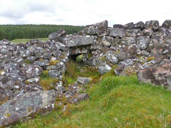 The Borg (Broch)