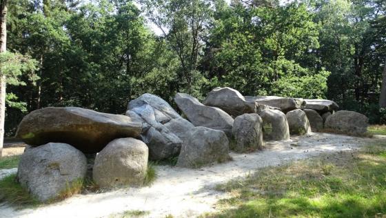 D45 Emmen (Emmerdennen) (Hunebed)