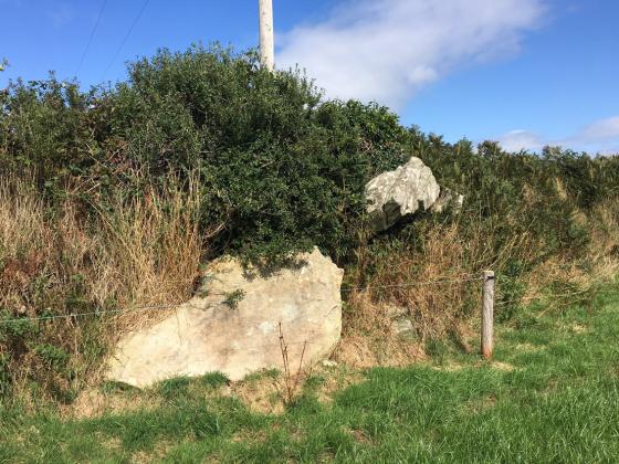 Savagetown (Portal Tomb)
