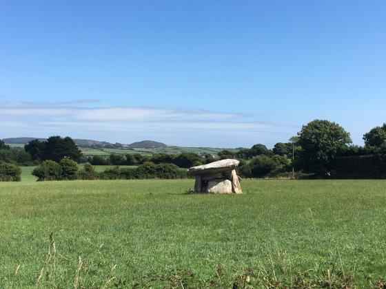 Ballynageeragh (Portal Tomb)