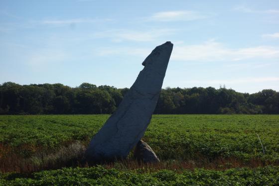 Skeppssattningen i Albrunna (Standing Stone / Menhir)