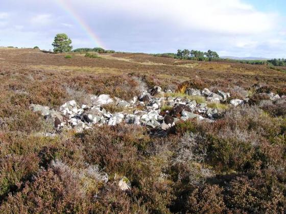 Drumashie Moor 1 (Cairn(s))