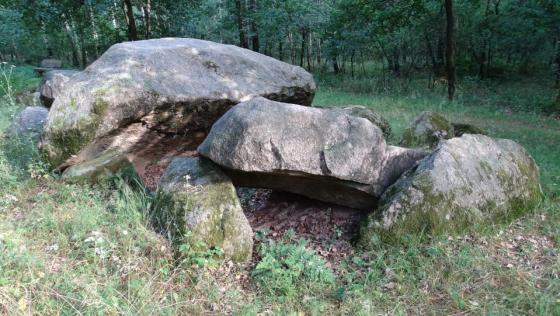 Ahlhorner Kellersteine 1 (Passage Grave)