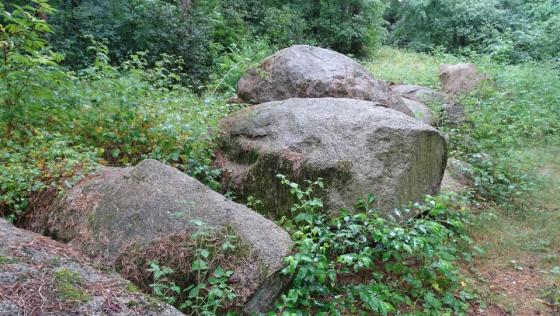 Herßum (Passage Grave)