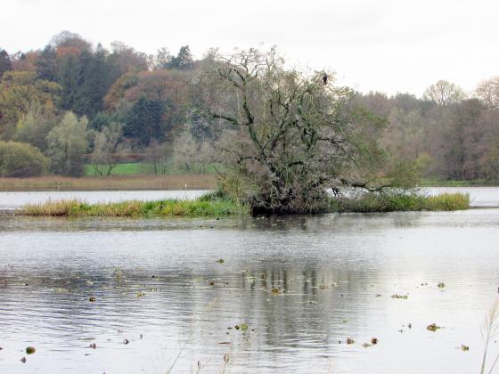 Carlingwark Loch (Crannog)