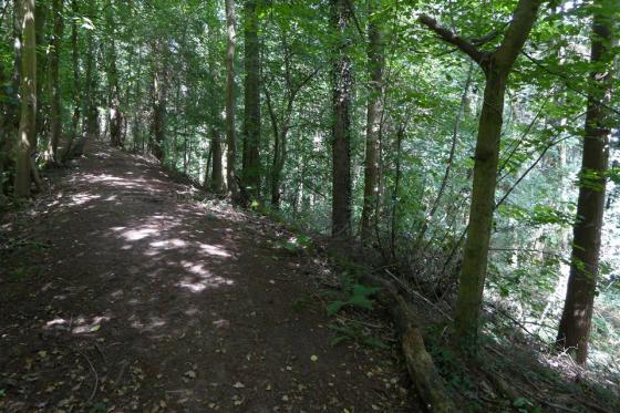 Credenhill Camp (Hillfort)