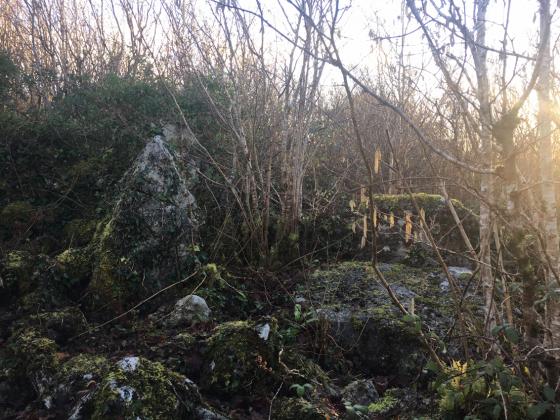 Menlough (Portal Tomb)