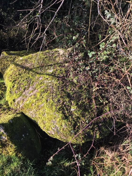 Aghadrumgowna or Calf Field (Wedge Tomb)
