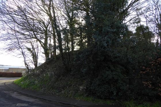 St Weonard’s Tump (Artificial Mound)