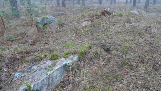Leetze 7 (Passage Grave)