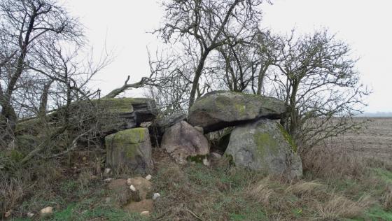 Schadewohl 2 (Chambered Tomb)