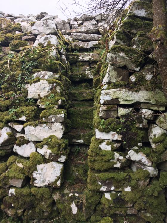 Moneygashel (Stone Fort / Dun)
