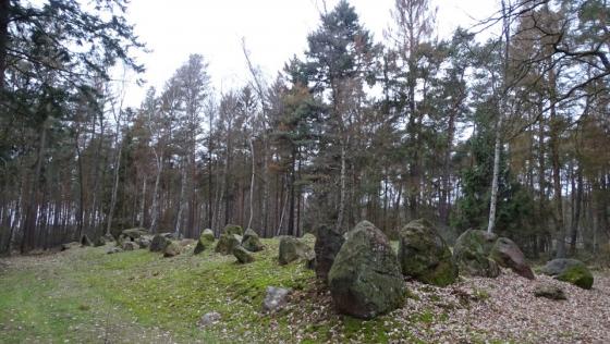 Lüdelsen 6 (Passage Grave)