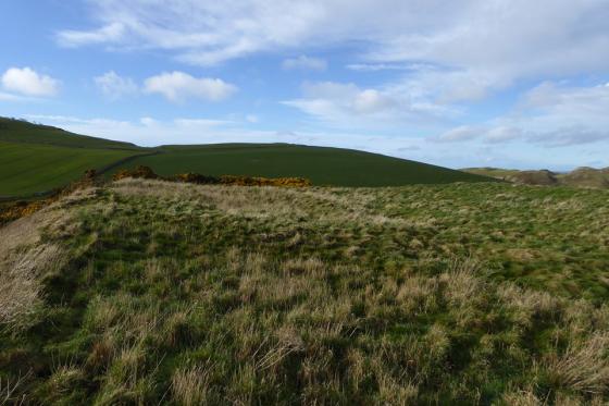 Mire Loch (Hillfort)