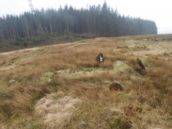 Ninestane Rigg (Stone Circle)
