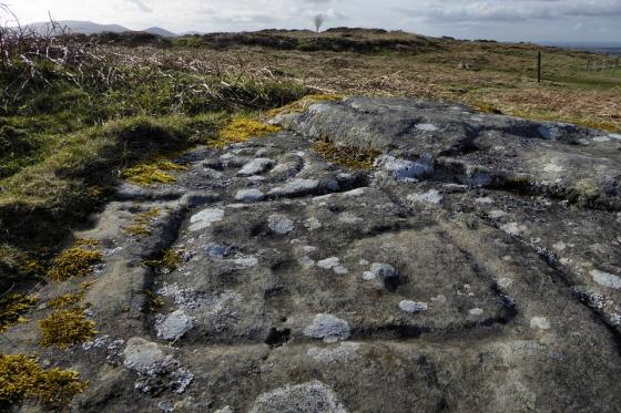 Dod Law Main (Cup and Ring Marks / Rock Art)