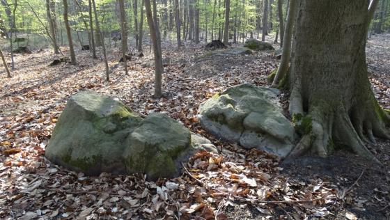 Marienborn 2 (Chambered Tomb)