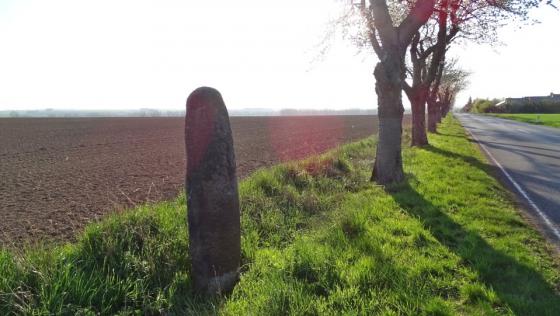 Eilsleben (Standing Stone / Menhir)