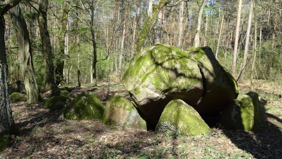 Hohenwulsch-Friedrichsfleiß (Chambered Tomb)