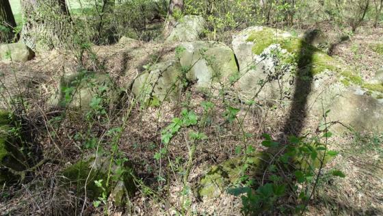 Bretsch 3 (Chambered Tomb)
