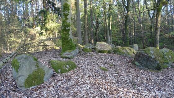 Tangeln 5 (Chambered Tomb)