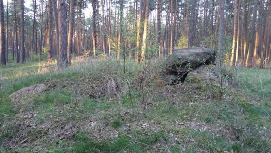 Immekath 1 (Chambered Tomb)