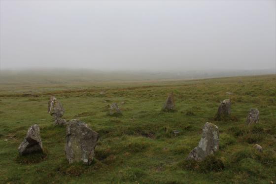 Trowlesworthy Warren (Stone Circle)