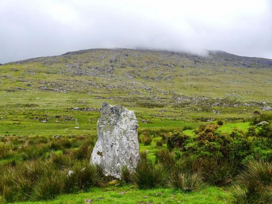 Ardgroom Outward (Stone Circle)