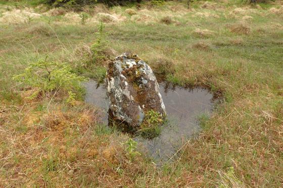 Leathad An Daraich (Standing Stone / Menhir)