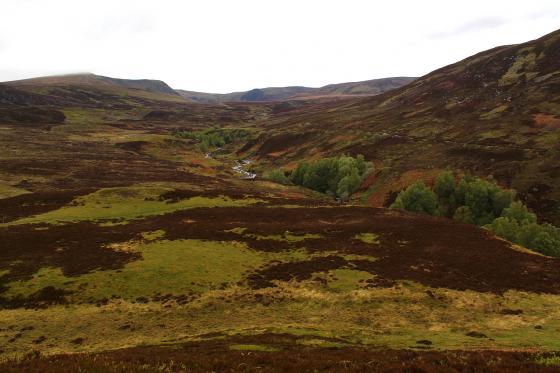 Sidhean Mor Dail A’ Chaorainn (Enclosure)