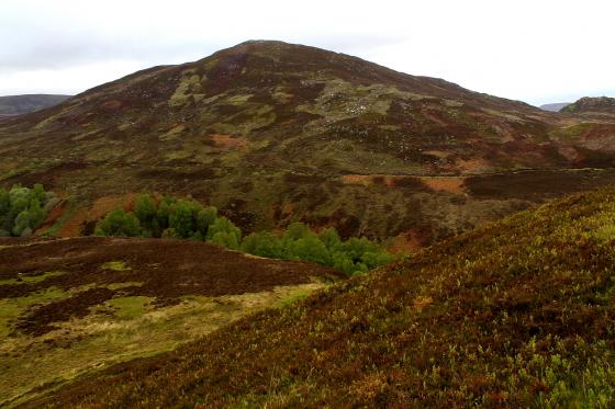 Sidhean Mor Dail A’ Chaorainn (Enclosure)