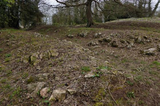 Worlebury (Hillfort)