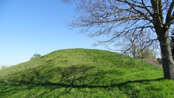 Baalberge Schneiderberg (Round Barrow(s))