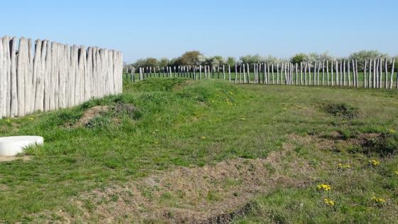 Pömmelte (Enclosure)