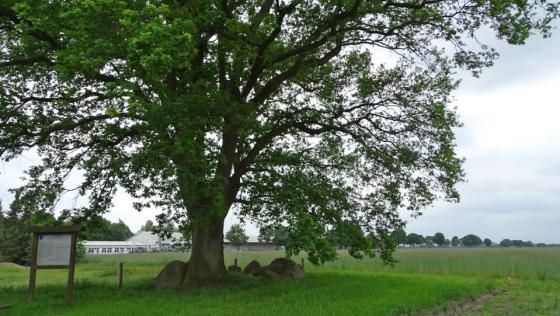 Nartum (Dolmen / Quoit / Cromlech)